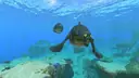Subnautica